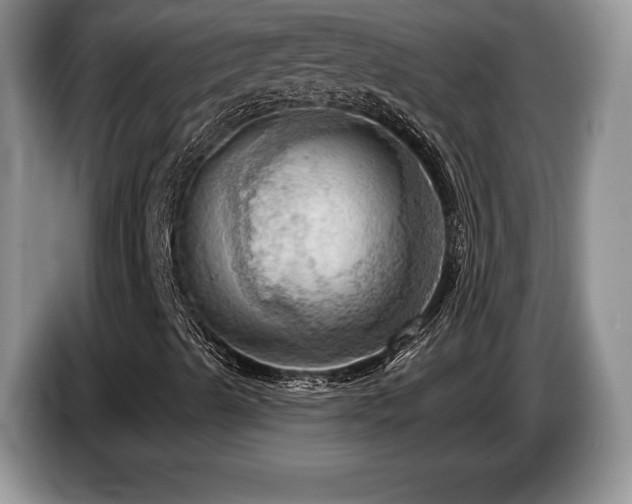 X0000087551489200704271159