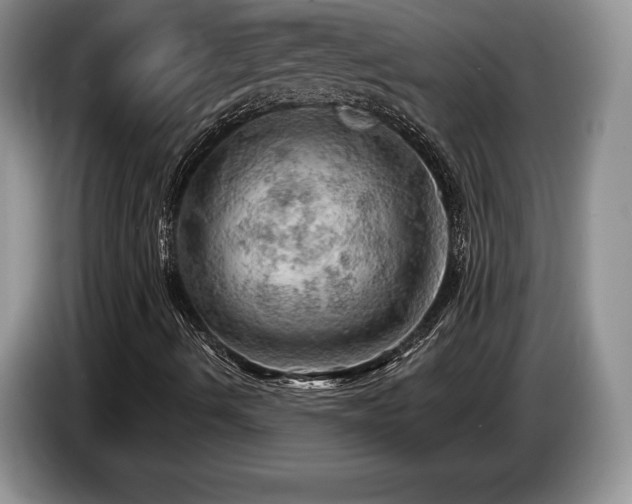 X0000087551490200704271159