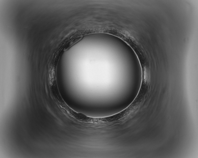 X0000087551492200704271159
