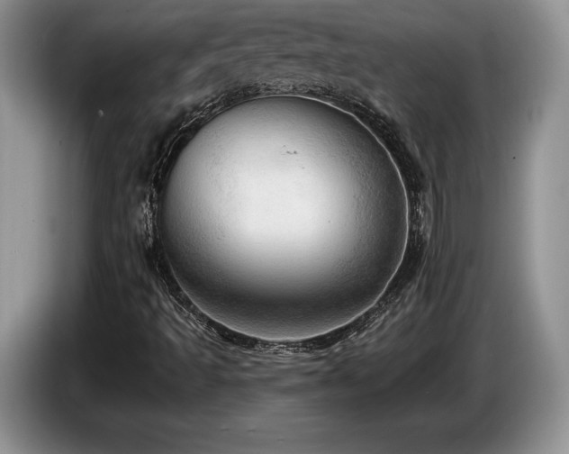 X0000087551493200704271159