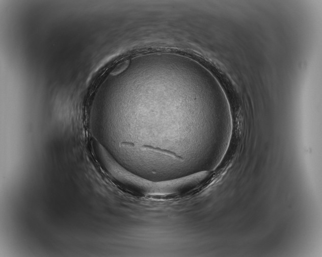 X0000087551494200704271159