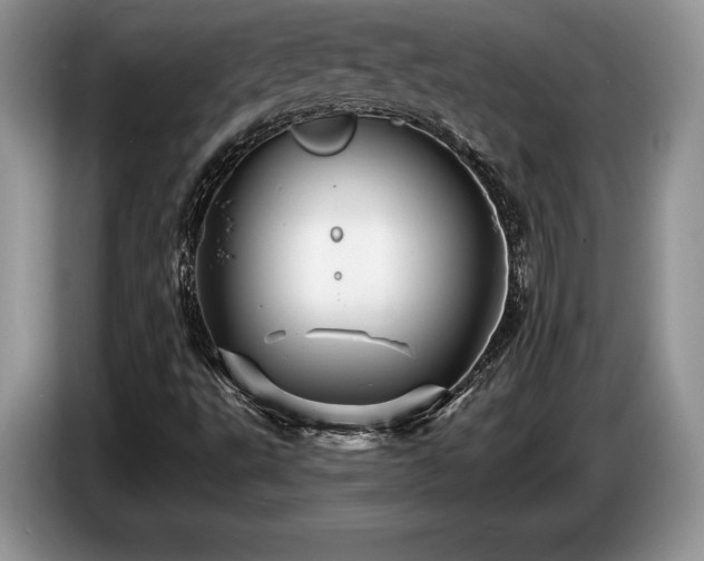 X0000087551495200704271159