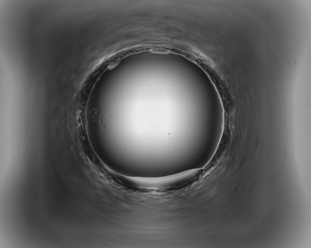 X0000087551496200704271159