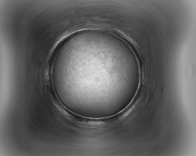 X0000087551498200704271159