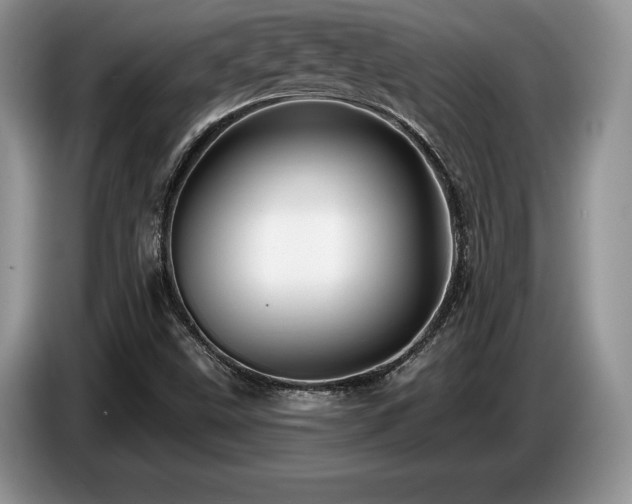 X0000087551499200704271159