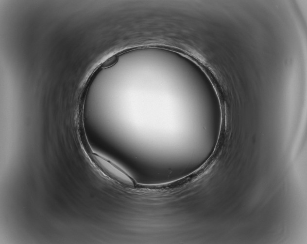 X0000087551500200704271159