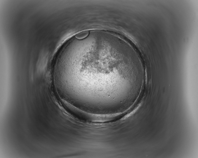 X0000087551501200704271159