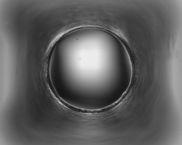 X0000087551504200704271159