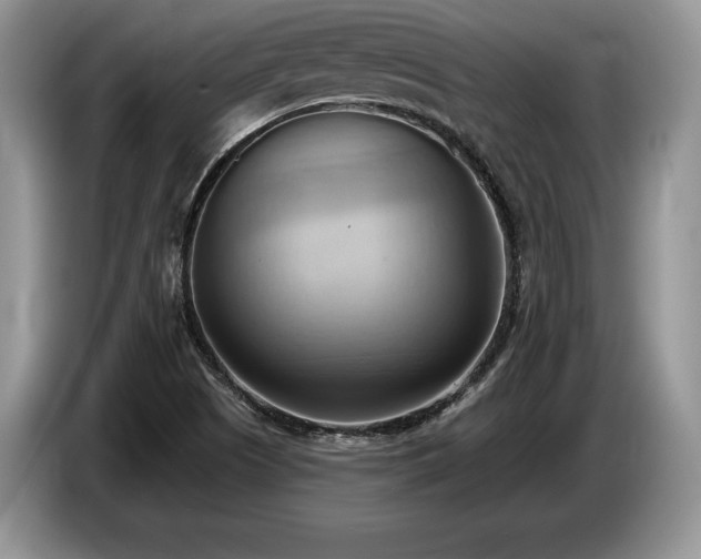 X0000087551505200704271159