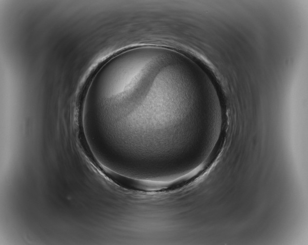 X0000087551506200704271159