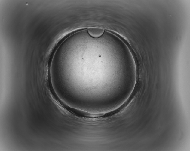 X0000087551507200704271159