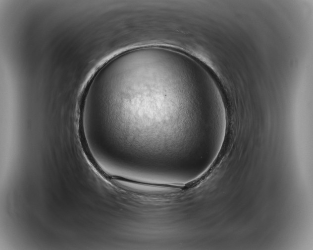 X0000087551508200704271159