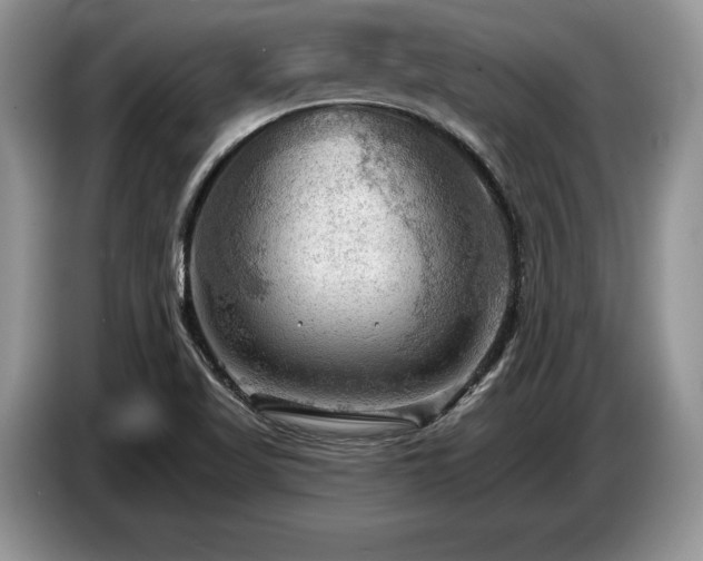 X0000087551509200704271159