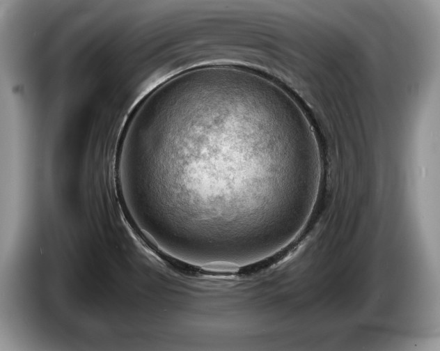 X0000087551513200704271159