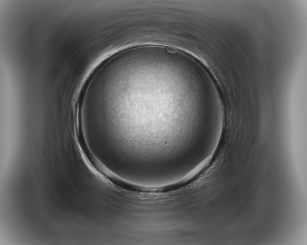 X0000087551515200704271159
