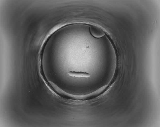 X0000087551517200704271159