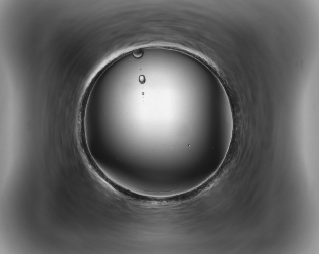 X0000087551518200704271159