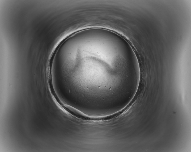 X0000087551519200704271159