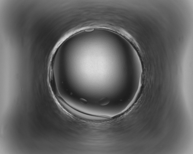 X0000087551520200704271159