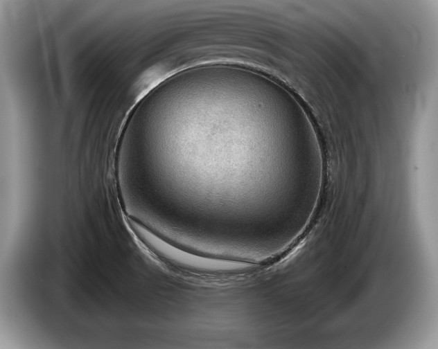 X0000087551521200704271159