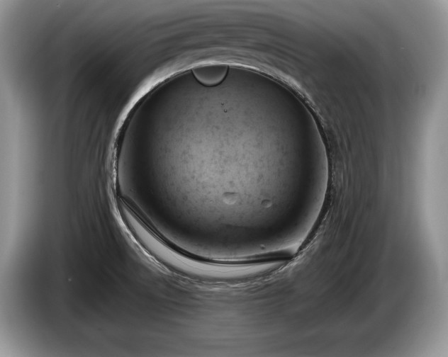 X0000087551522200704271159