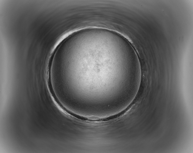 X0000087551523200704271159