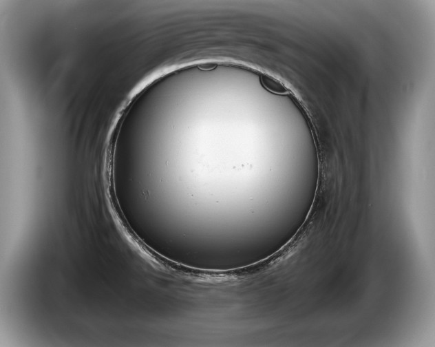 X0000087551526200704271159