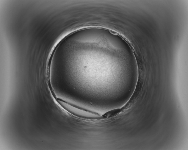 X0000087551527200704271159