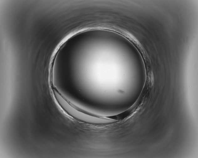 X0000087551528200704271159