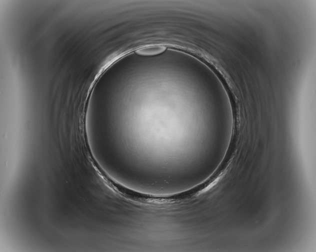 X0000087551529200704271159