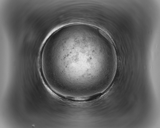 X0000087551531200704271159