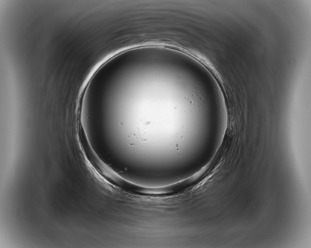 X0000087551532200704271159
