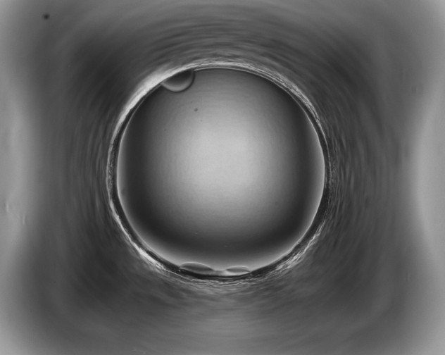 X0000087551533200704271159