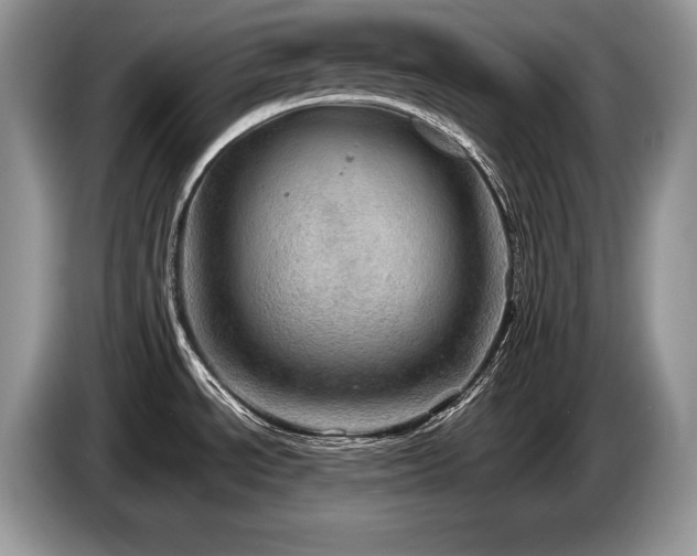 X0000087551534200704271159