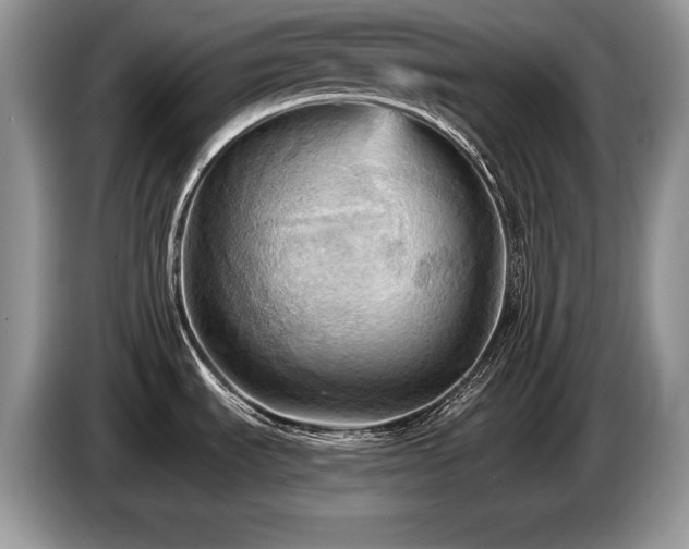 X0000087551535200704271159