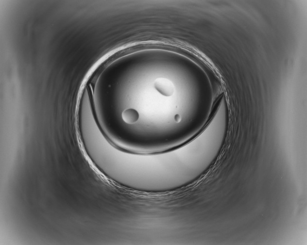 X0000087551536200704271159