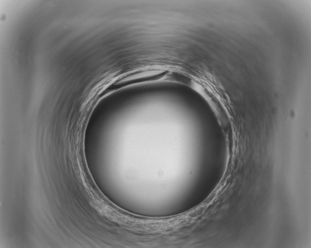 X0000087550001200705041339