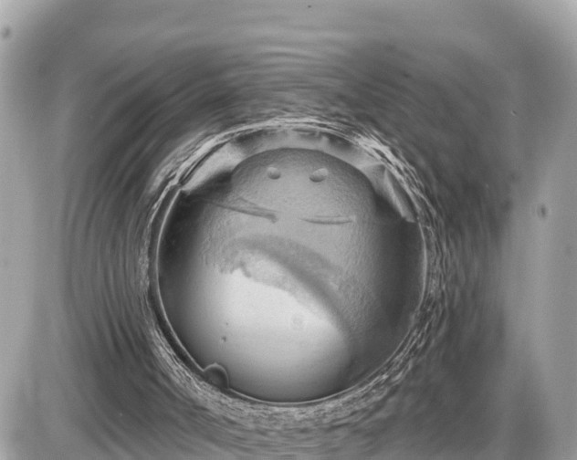 X0000087550002200705041339