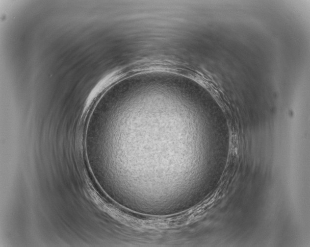 X0000087550004200705041339