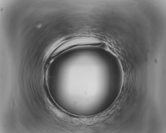 X0000087550005200705041339