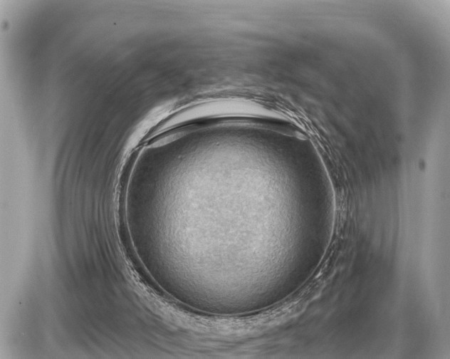 X0000087550006200705041339