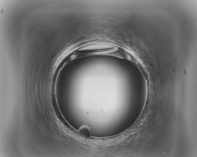 X0000087550007200705041339