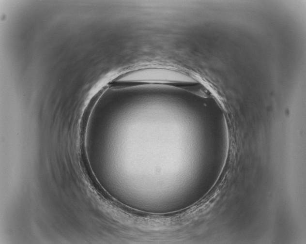 X0000087550008200705041339