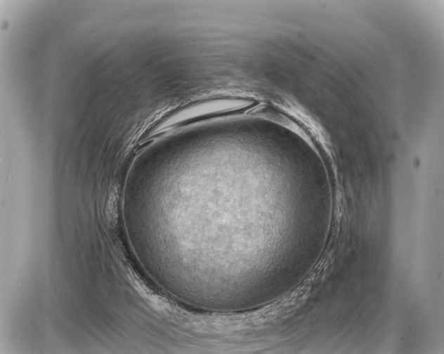 X0000087550009200705041339