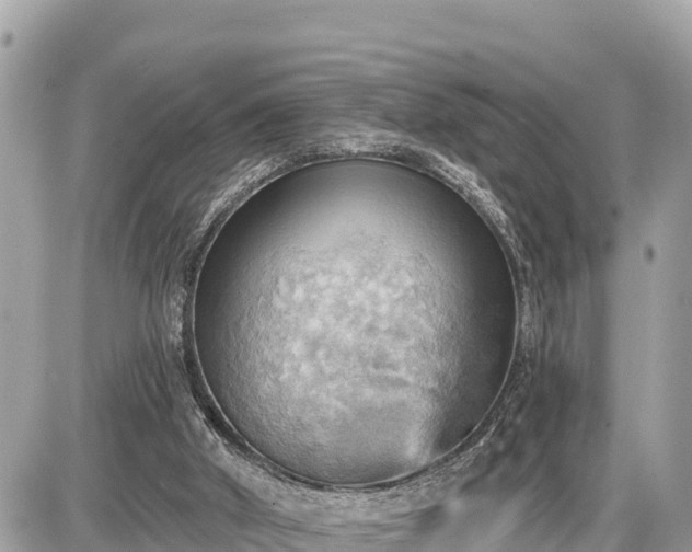 X0000087550010200705041339