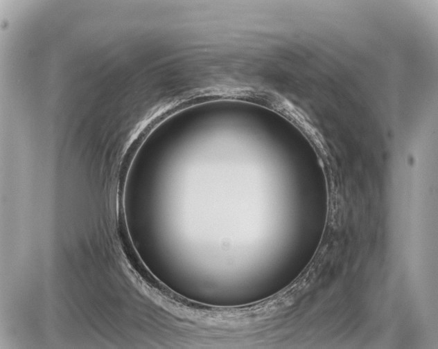 X0000087550011200705041339