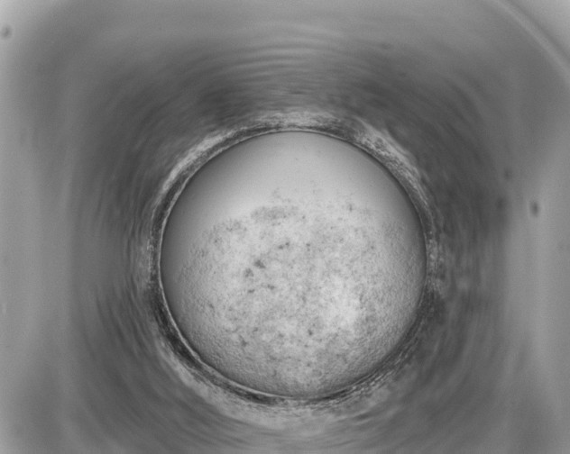 X0000087550012200705041339