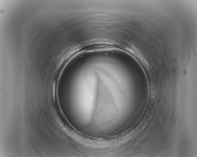 X0000087550014200705041339