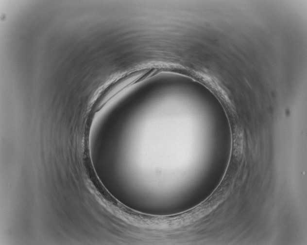 X0000087550015200705041339