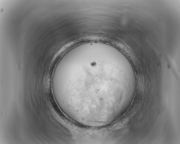 X0000087550016200705041339